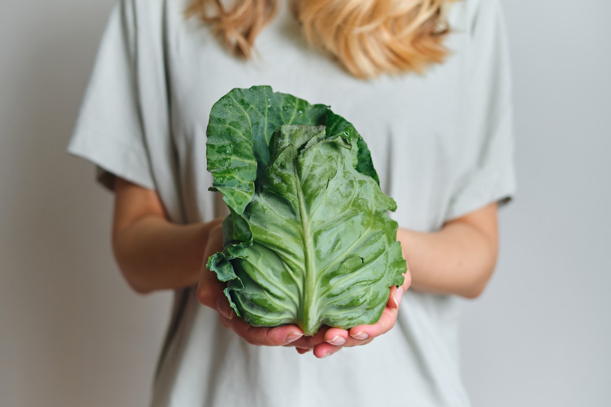 Farbiges Gemüse mit hohem Antioxidantiengehalt